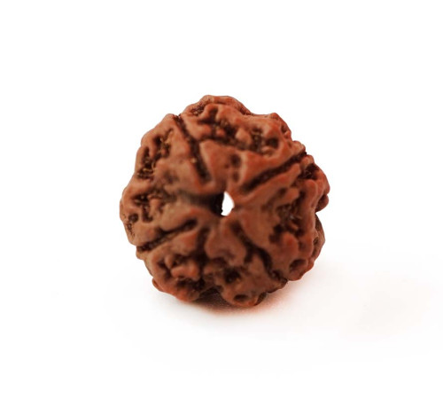 Бусина Рудракші 4 обличчя