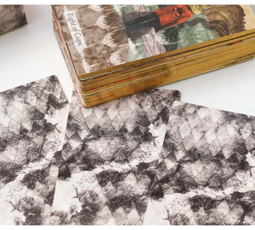 Текстурні карти таро The Textured Tarot