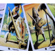 Карти Таро Афро-Американське (African American Tarot)