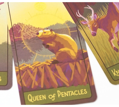 Карти Таро Тихоокеанського Північного Заходу (The Pacific Northwest Tarot)