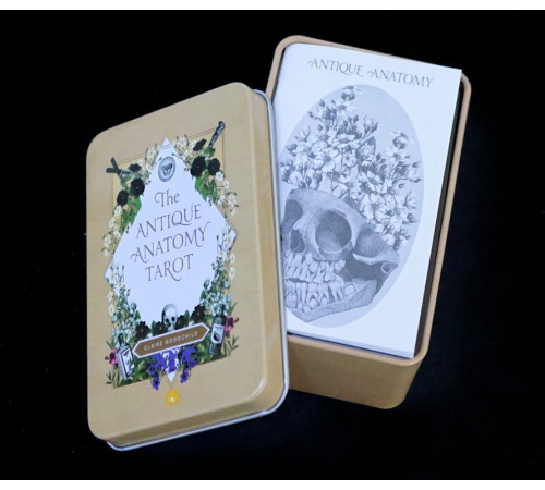Карти Таро Античної Анатомії (Antique Anatomy Tarot)