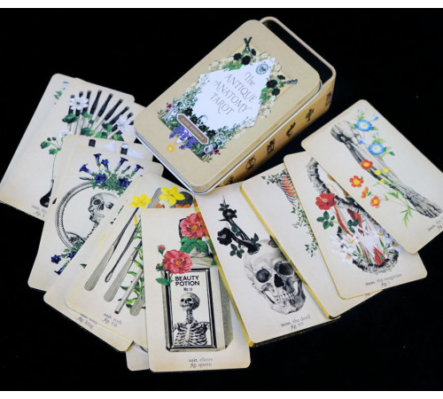 Карти Таро Античної Анатомії (Antique Anatomy Tarot)