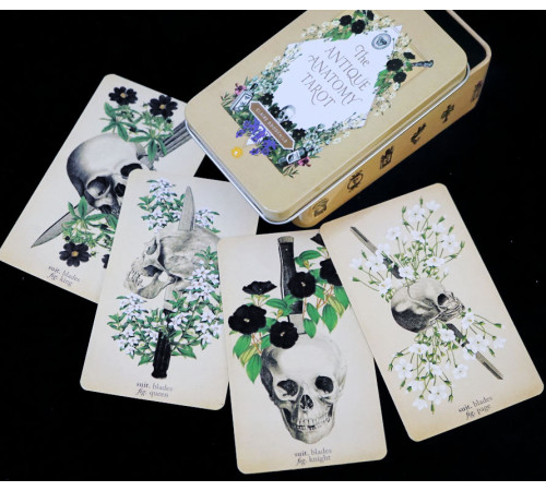 Карти Таро Античної Анатомії (Antique Anatomy Tarot)
