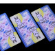 Карти Таро Пухлої Булочки (Chubby Bunny Tarot)