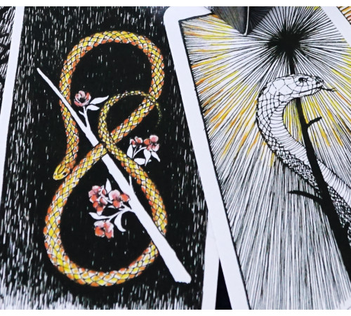 Таро Дике Невідоме Кім Кранс (The Wild Unknown Tarot)