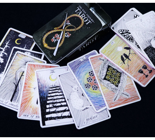 Карти Дике Невідоме Таро (Wild Unknown Tarot)