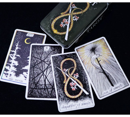 Карти Дике Невідоме Таро (Wild Unknown Tarot)