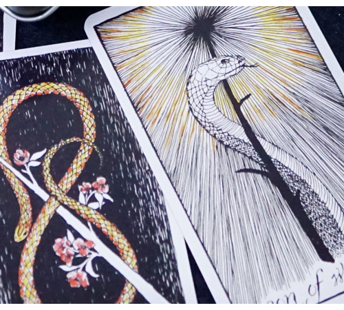 Карти Дике Невідоме Таро (Wild Unknown Tarot)