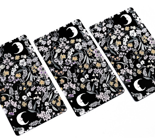 Карты Таро Карлотиды (Tarot de Carlotydes)