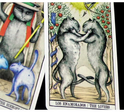 Карти Таро Котів Анни Хуан (Tarot Cats by Ana Juan)