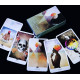 Карти Таро Польове (The Field Tarot)