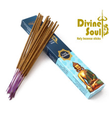 Ароматичні палички Господь Будда Divine Soul Lord Buddha