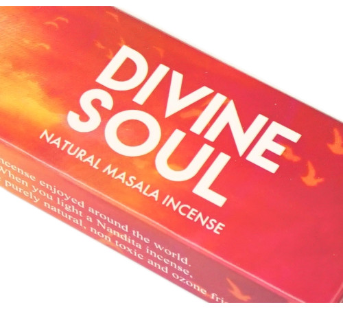 Ароматические палочки Божественная Душа Nandita Devine Soul