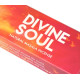 Ароматические палочки Божественная Душа Nandita Devine Soul
