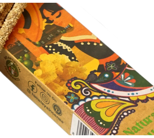 Ароматичні палички Мексиканський ладан Himalaya Smudge Mexican Copal