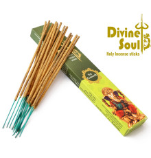 Ароматичні палички Шрі Ганеш Divine Soul Sri Ganesh