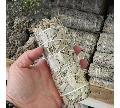 Біла шавлія для обкурювання